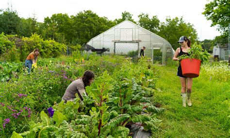 Organic Farm grows future leaders while reaping local awards - 2020 ...