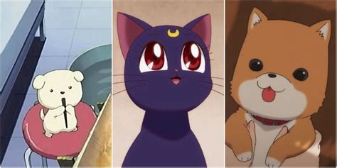 Top 10 Cutest Anime Animals Of All Time, Ranked