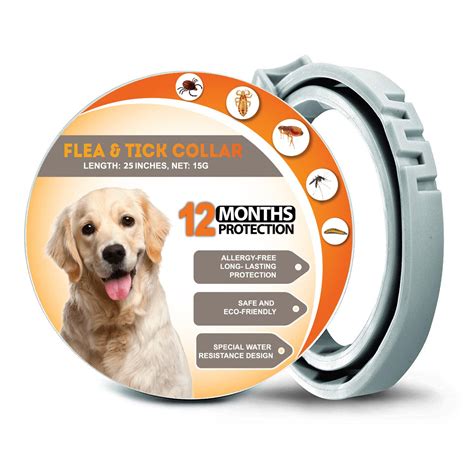 Is It Safe To Use Dog Flea Collar at Isabelle Key blog