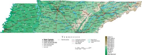 Tennessee Contour Map in Adobe Illustrator Digital Vector Format