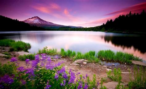 Download Scenic Photos Beautiful Scenery Photos Download - Beautiful ...