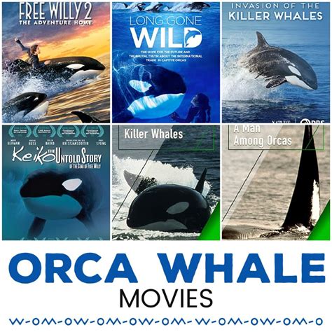 Orca Whale Movies for Kids of All Ages