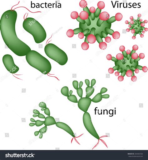 29,390 Fungus Bacteria Images, Stock Photos & Vectors | Shutterstock