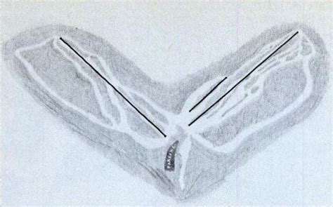 1978-79 Dartmouth Skiway Trail Map - New England Ski Map Database - NewEnglandSkiHistory.com