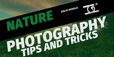 Nature Photography - Tips and Tricks