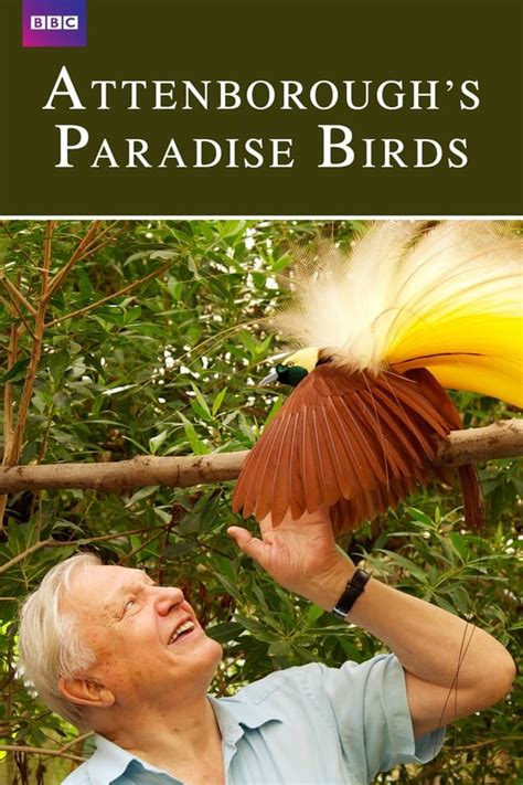 Attenborough's Paradise Birds (2015) — The Movie Database (TMDb)