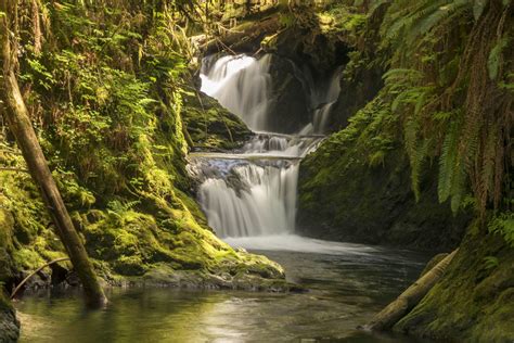 The Best Rain Forest Waterfalls on the Olympic Peninsula, WA