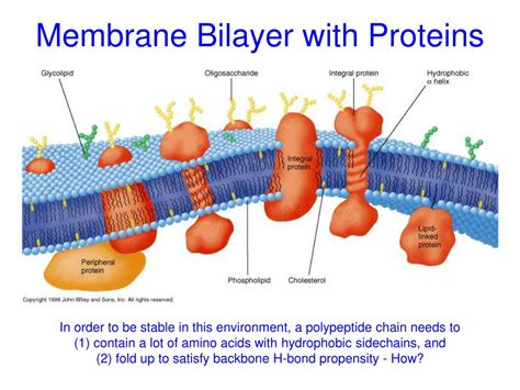 PPT - Challenges and Methods in Transmembrane Protein Structure ...