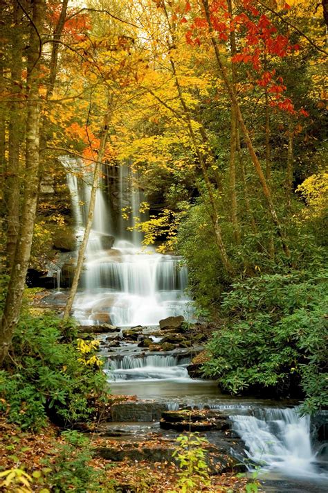 Pin by Mary Mcdaniel on Autumn | Beautiful nature, Beautiful landscapes ...