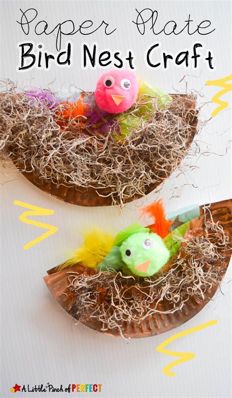 Paper Plate Bird Nest Craft the Kids will Cheep About - A Little Pinch ...