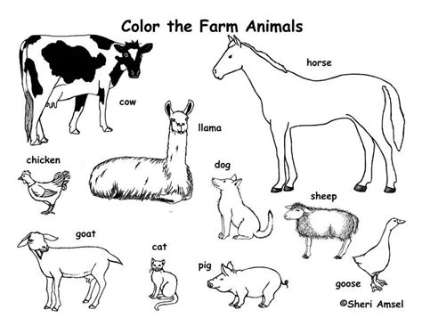 Farm Animals Coloring Page