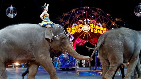 Ringling Bros. circus to close after 146 years; Failure started with ...