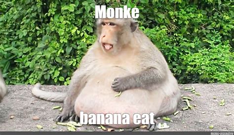 Meme: "Monke banana eat" - All Templates - Meme-arsenal.com