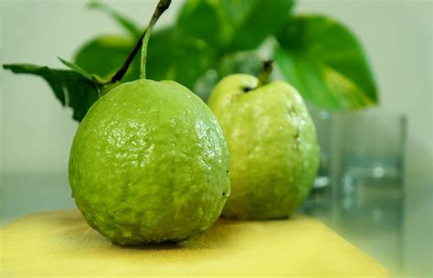 Guava: Scientific Name and Common Names in Different Languages