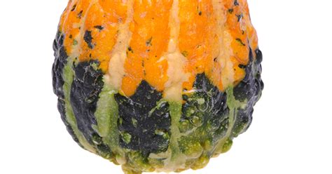 Are Gourds Squash? - Is This That Food