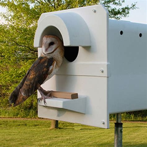 Screech Owl Nest Box | Barn Owl Box Company