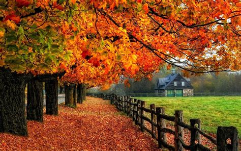 Fall Autumn Wallpaper (60+ pictures) - WallpaperSet