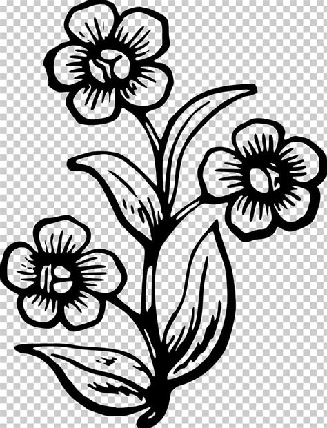 Flower Drawing Images Clipart | Best Flower Site