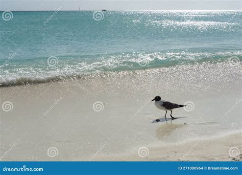 Wonderful Beaches of Los Roques in Venezuela, Los Roques National Park ...