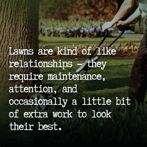 45+ Mowing The Lawn Quotes & Instagram Captions