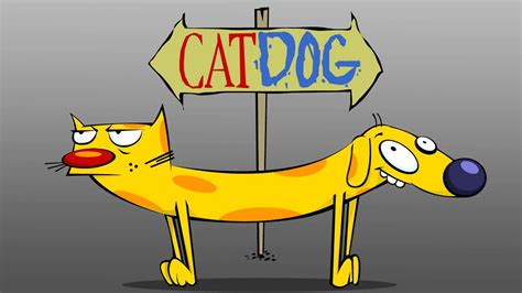 Catdog Theme Song Intro HQ with Lyrics - YouTube