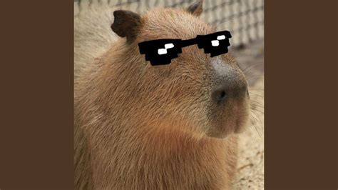 Capybara Song [Tik Tok Version] - YouTube Music