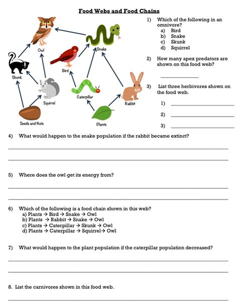 Food Webs Worksheet - Amped Up Learning