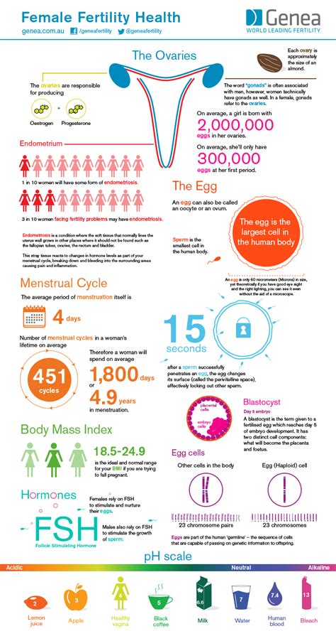 Female Fertility Health #infographic ~ Visualistan