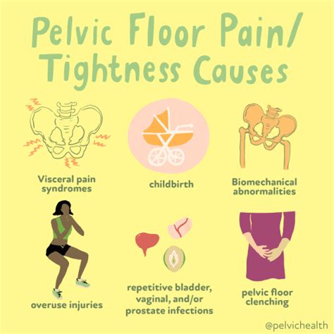 Pelvic Floor Myalgia Meaning | Viewfloor.co