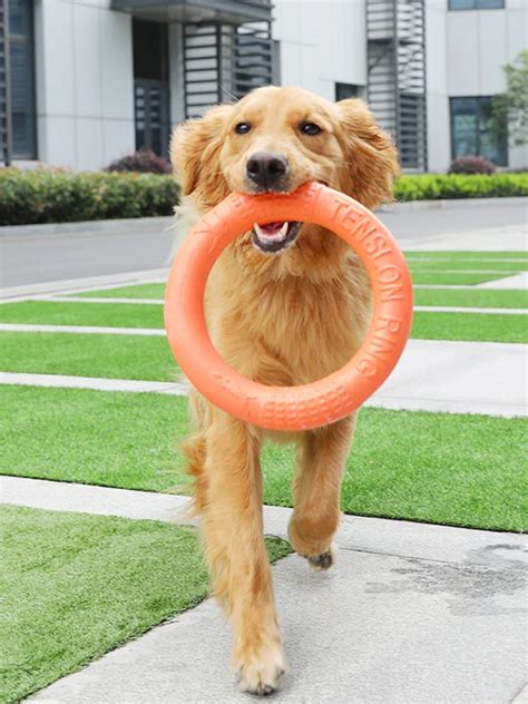 Interactive Dog Toys | Dog Ring Toy | Dog Training Toys – DogMega.Com