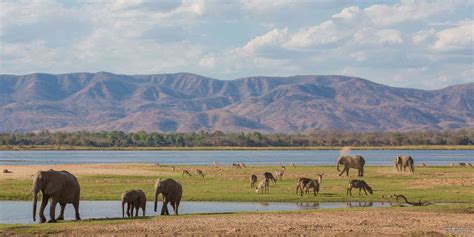 Top 10 Best Zambia Safari Lodges & Camps – SafariBookings