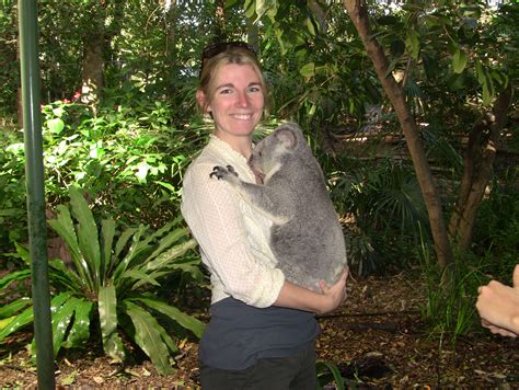 Hold a Koala in you Hands - Lone Pine Koala Sanctuary, Brisbane