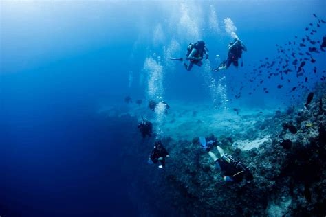 Savusavu Diving | Fiji Airways