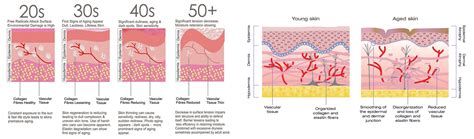 Anti Aging • Treatment Clinic • Skin Care • Nascent Clinic