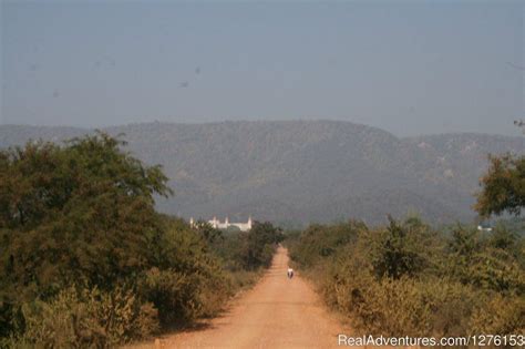 Sariska National Park | Alwar, India Wildlife & Safari Tours ...