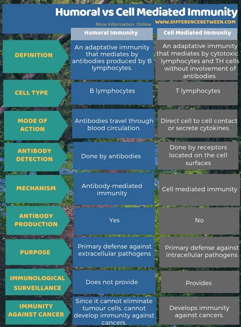 Difference Between Humoral and Cell Mediated Immunity | Compare the ...