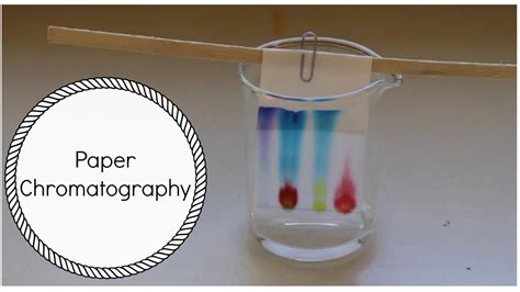 In A Paper Chromatography Experiment A Sample Of A Pigment at Angeles ...