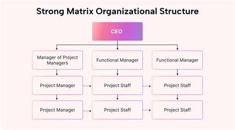 Matrix Organizational Structure: Complexity and Efficiency | Motion ...