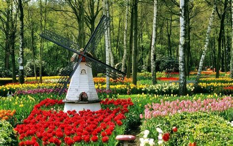 Belgium's Top Ten Spring Sights for Garden and Nature Lovers | CheeseWeb