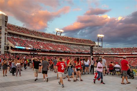 NCAA Sanford Stadium Incredible Hand Built Replica Home Of The Georgia ...