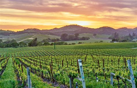 10 BEST Napa Valley Wine Tasting Destinations This Spring