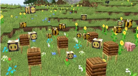 Minecraft Beehive & Bee Farm Explained - BrightChamps Blog