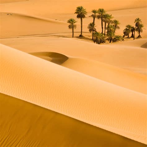 Sahara Desert Oasis Wall Art | Photography