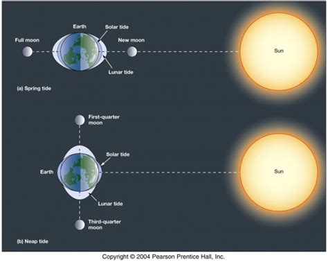 Neap Tide Diagram