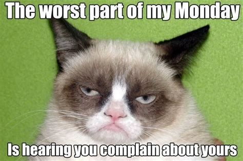 Best Grumpy Cat Monday Meme | Know Your Meme