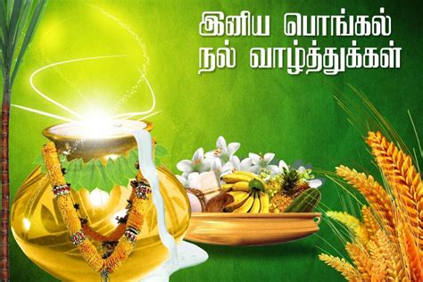 Pongal Wishes In Tamil | Happy Pongal Tamil Wishes Images | Tamil ...