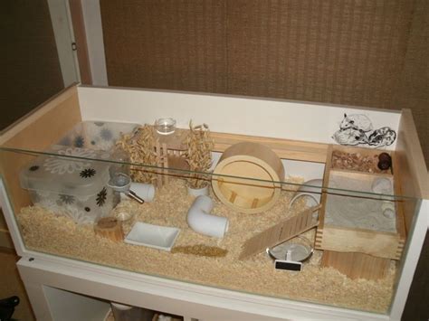 hamster cage | Hamster cage | Pinterest | Ikea billy, Guinea pigs and ...