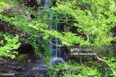 Lake Catherine (Arkansas) Photos and Premium High Res Pictures - Getty ...