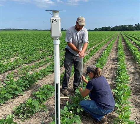 Clemson research finds using soil moisture sensors can increase farmer ...