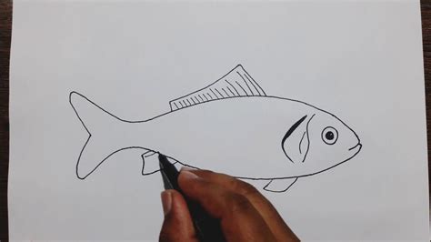 How To Draw A Beautiful Fish Step By Step / Beaver drawing with a wacom ...